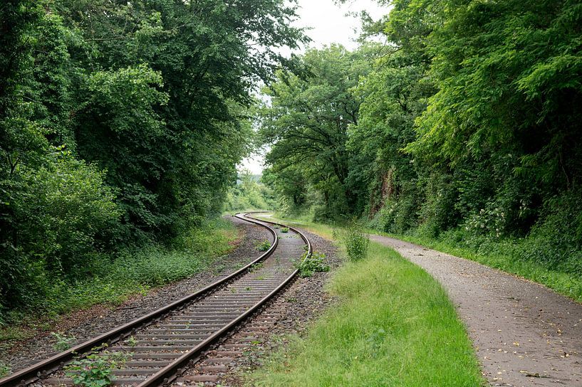 Track with bends by Richard Wareham