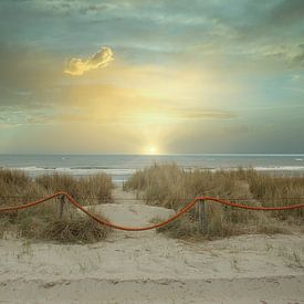 Die Dünen von Texel in den Golden Hours von Raymond Kuhlman