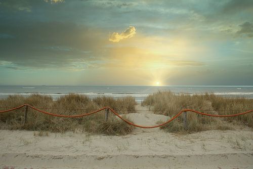 Texel Dunes in the Golden Hours