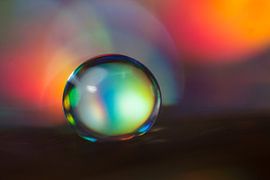 Abwurf 1 von Bert Nijholt