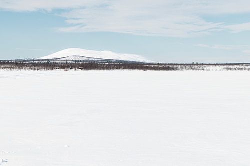 De berg Kuormakka in Zweeds Lapland