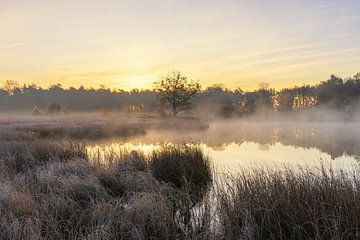 Zonsopkomst Dwingelderveld - Nederland (Drenthe) van Marcel Kerdijk