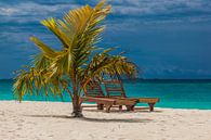 Palm Beach Island Resort in de Maldiven, Lhaviyani Atoll van Thomas Rieger thumbnail