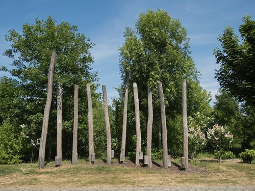 Stämme in einer Reihe