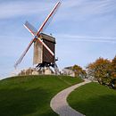 Windmühle, Brügge, Belgium von Alexander Ludwig Miniaturansicht