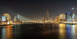 Rotterdam skyline by Yvonne de Bondt