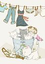 Big wash with kitten by Lucia thumbnail