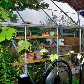 Chaotic greenhouse by Frank's Awesome Travels