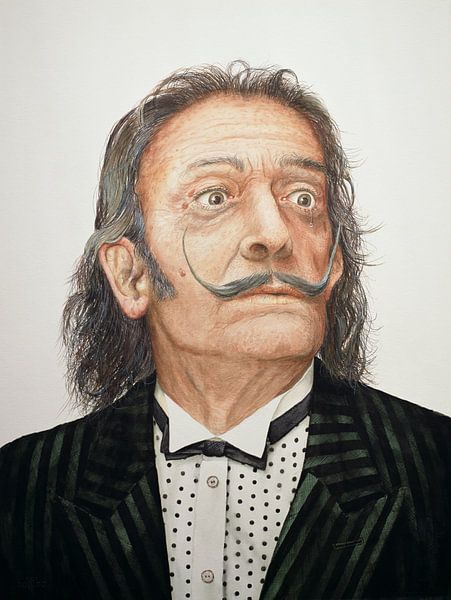 Dalí, Trevor Neal von Bridgeman Images