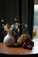 Herbes séchées, fleur d'hortensia et châtaignes