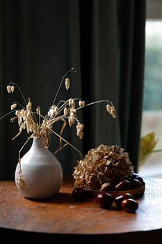 Herbes séchées, fleur d'hortensia et châtaignes