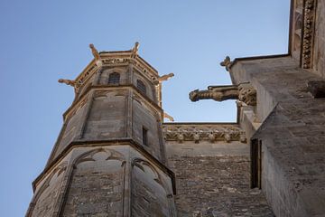 Basiliek  Saint Nazaire in oude stad Carcassonne in Frankrijk