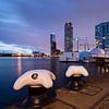 Rotterdam bij nacht van Paula Romein