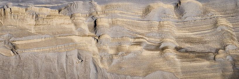 Modern sand patterns like gold in the dune by eric van der eijk