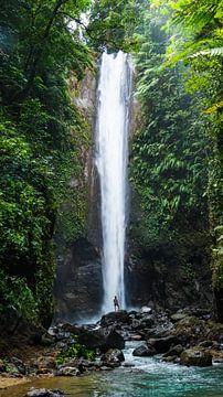 Wasserfall auf den Philippinen (vertikal)