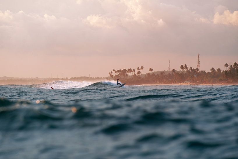 La légende du surf par Ward Jonkman