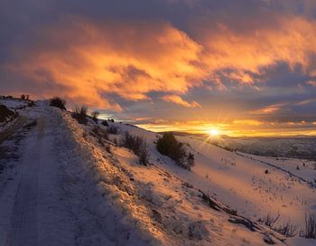 Wunderschöner Winter-Sonnenuntergang in einer verschneiten Landschaft 