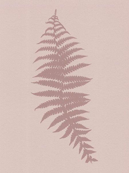 Minimalist Botanical. Fern in pink. by Dina Dankers