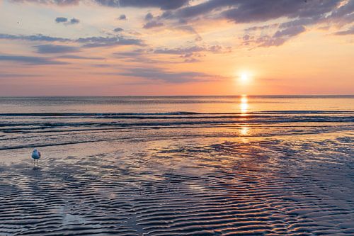 zonsondergang  aan het strand