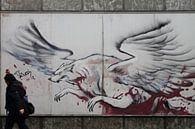 mythische wolf grafitti groningen van Martijn Wams thumbnail