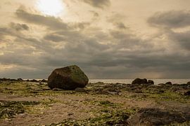 zeeland beach zoutelande