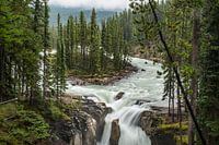 Sunwapta Falls, Canada