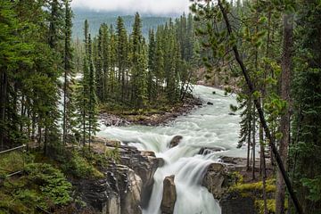 Sunwapta Falls, Canada van Claudia Esveldt