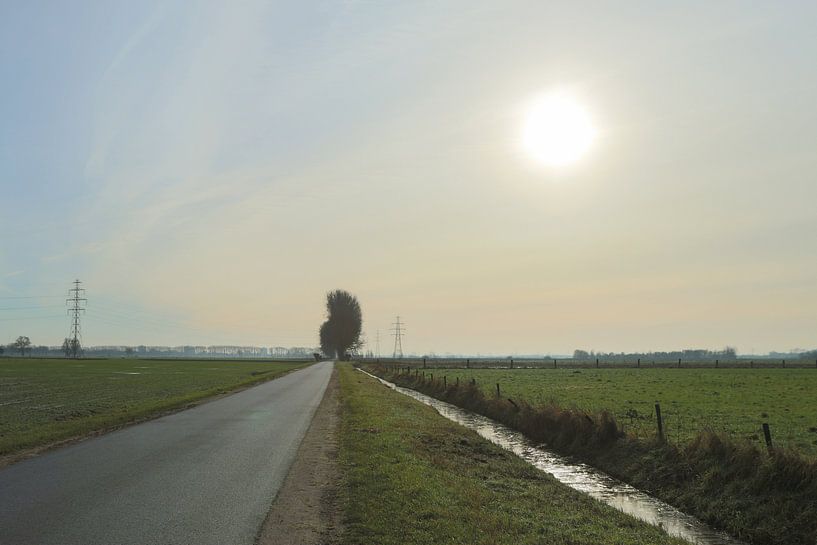 Tegenlicht en perspectief van Martijn Valk