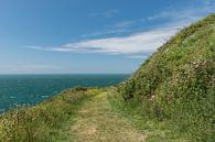 Beautiful nature on the coast of France by Patrick Verhoef thumbnail