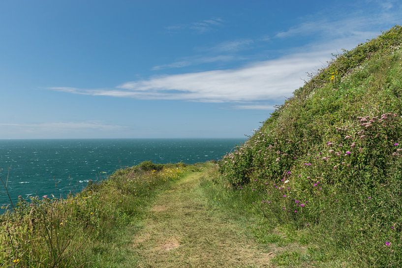 Beautiful nature on the coast of France by Patrick Verhoef