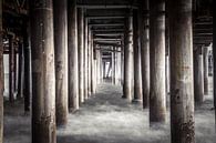 Pilaren in de zee onder de Santa Monica Pier Californië Verenigde staten van Retinas Fotografie thumbnail