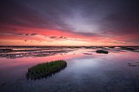 Sonnenuntergang über dem Wattenmeer bei Uithuizen Groningen