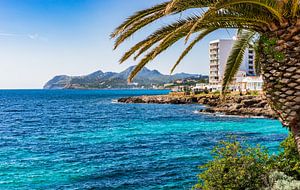 Küstenlinie in Cala Rajada, Mallorca Spanien von Alex Winter