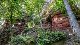 The Hidden Gate – Altschlossfelsen