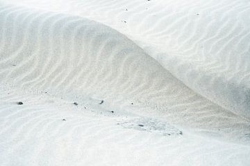 de Ruggengraat van Zand in de Duinen.1 Basic Japandi van Alie Ekkelenkamp