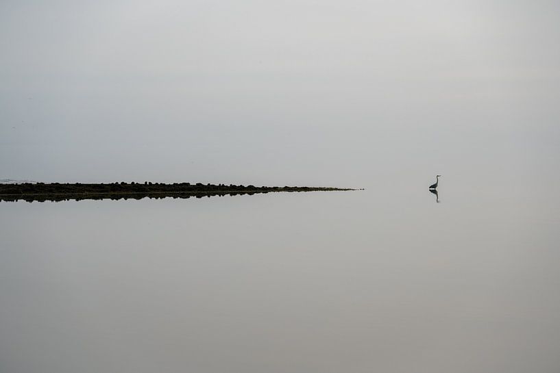 Wache im dänischen Wattenmeer von Gerry van Roosmalen