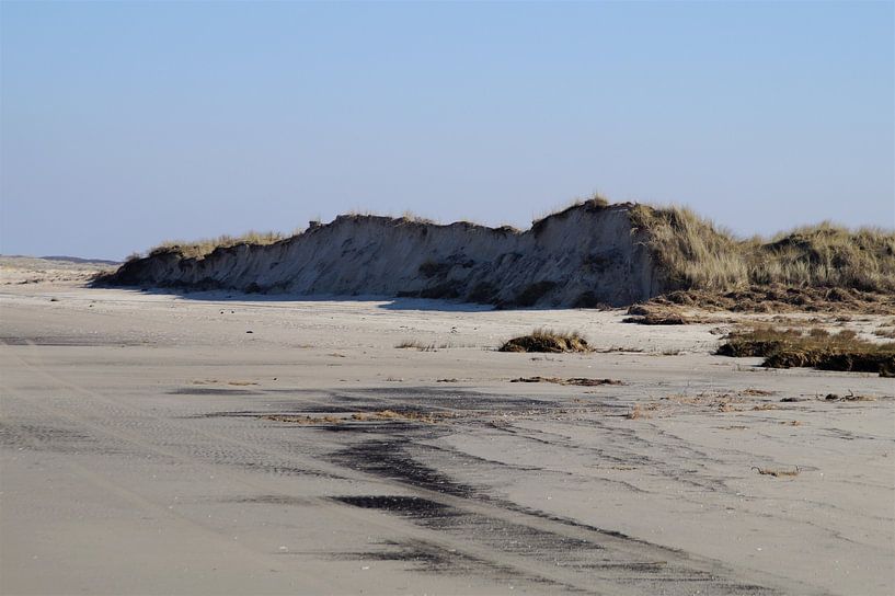 Duinen Boschplaat Terschelling van Maurits Bredius
