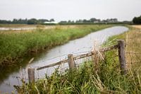 Landelijk uitzicht