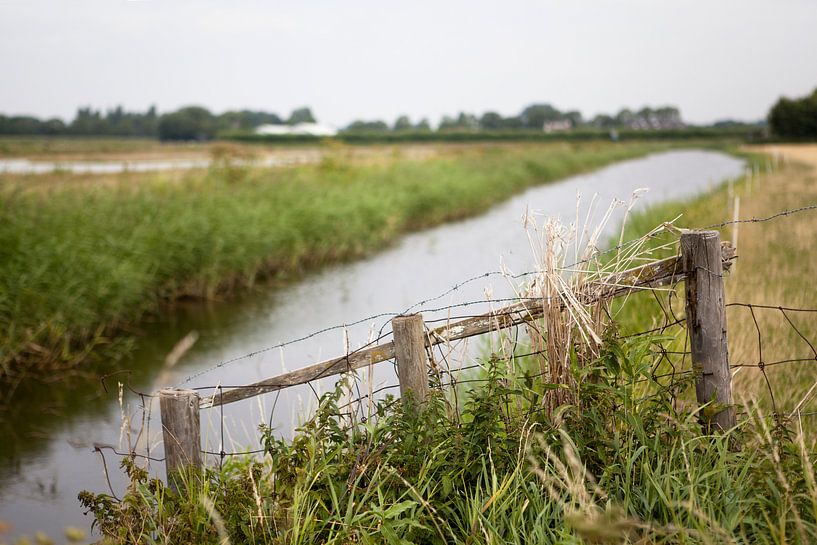 Rural by Kees van Dun