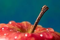 Frisse rode appel van Josephine Huibregtse thumbnail