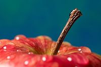Fresh red apple