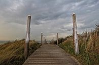 Les Dunes par Yvonne Blokland Aperçu