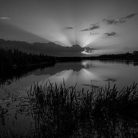 The Everglades zonsopkomst in zwart wit van Martin van der Sanden