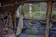 Cimetière automobile dans la forêt de Ryd, Suède par Joost Adriaanse Aperçu