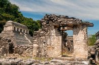 Mexico: Pre-Hispanic City and National Park of Palenque (Palenqu by Maarten Verhees thumbnail