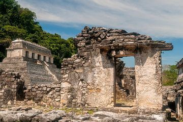 Mexico: Pre-Hispanic City and National Park of Palenque (Palenqu by Maarten Verhees