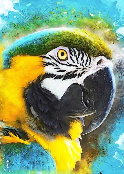 Papegaai Ara vogel aquarel kunst #papegaai van JBJart Justyna Jaszke