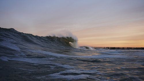 'Het eindeloze geruis van de zee'