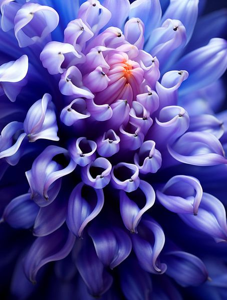 Up Close &amp; Personal by Jacky