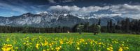 Austrian mountain panorama